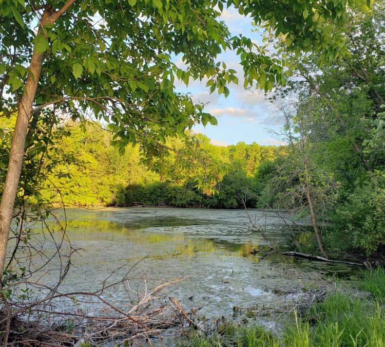 Rich-River Nature Park (Richmond,&nbspMN)
